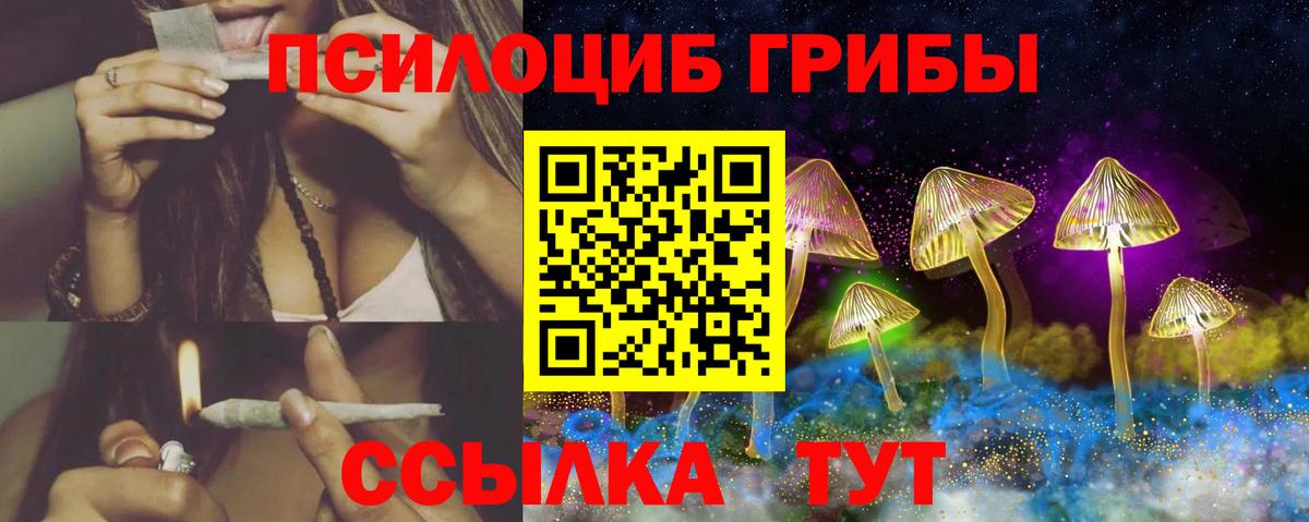 Озёрск  Псилоцибиновые грибы мухоморы  Псилоцибиновые грибы Psilocybe  Вход с VPN 