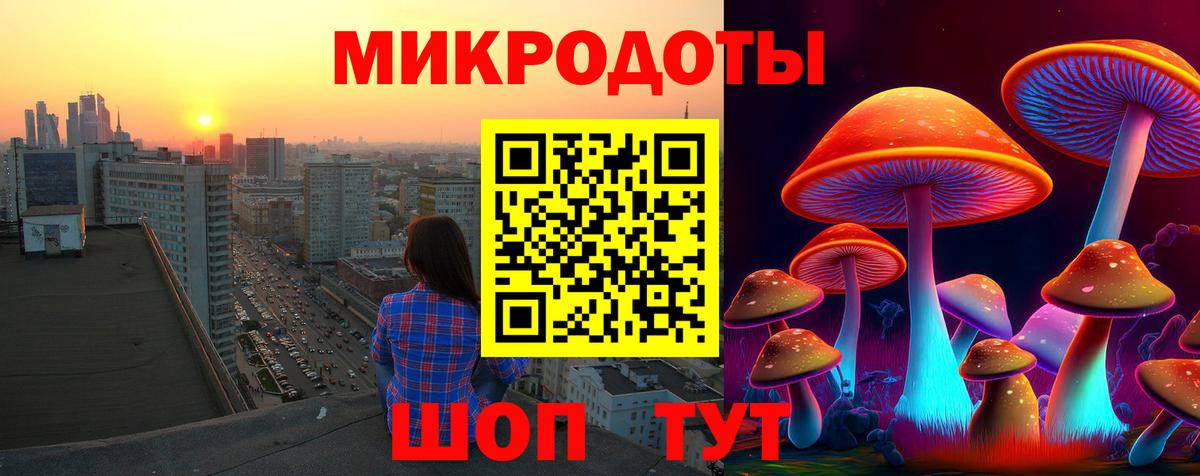 Галлюциногенные грибы Psilocybe Озёрск